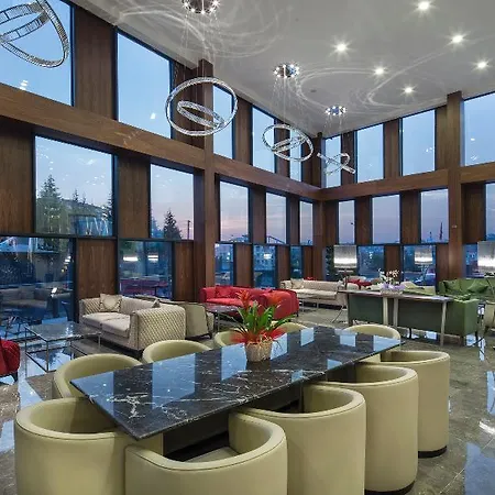 Hilton Garden